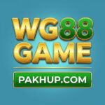 WG88 Game