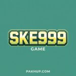 ske999 Game