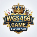 WGS456 Game