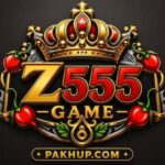 Z555 gaming platform
