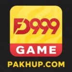 FD999 Game apk